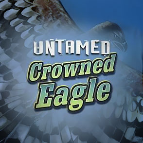 Игровой автомат 777 Untamed Crowned Eagle (@Slot_name_ru @) от @Slot_soft @ бесплатно в демо-вариации и на денежные ставки в клубе Казино Икс